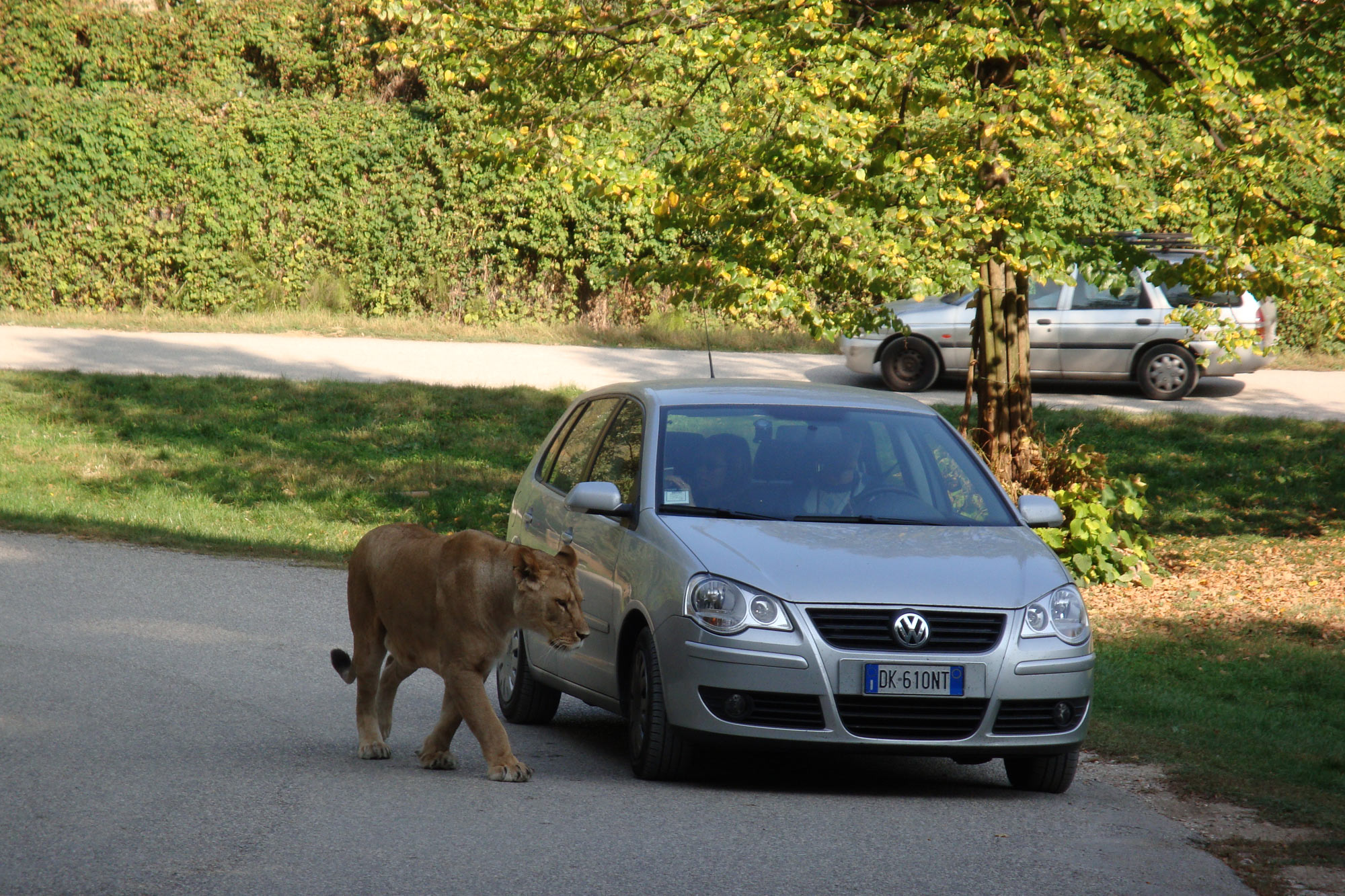 Parco Natura Viva